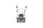 Preview: Kehrmaschine Limpar 81 -Honda GCVx 170 OHV -8x2 Besatz Poly