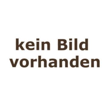 Gew.-Stift M8x10