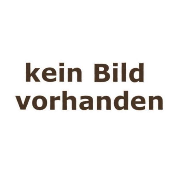 Gew.-Stift M8x10